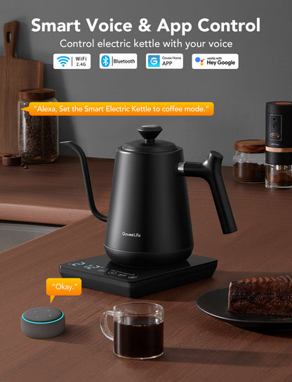 GoveeLife Smart Electric Gooseneck Kettle
