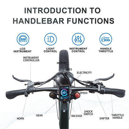 CEAYA Electric Bike R5-PRO