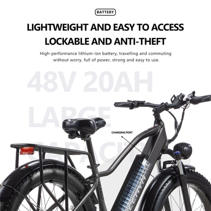 CEAYA Electric Bike RX20