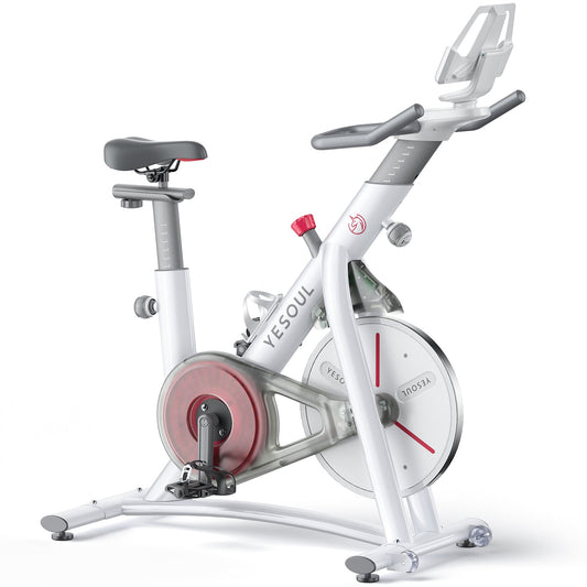 YESOUL S3 Indoor Exercise Bike