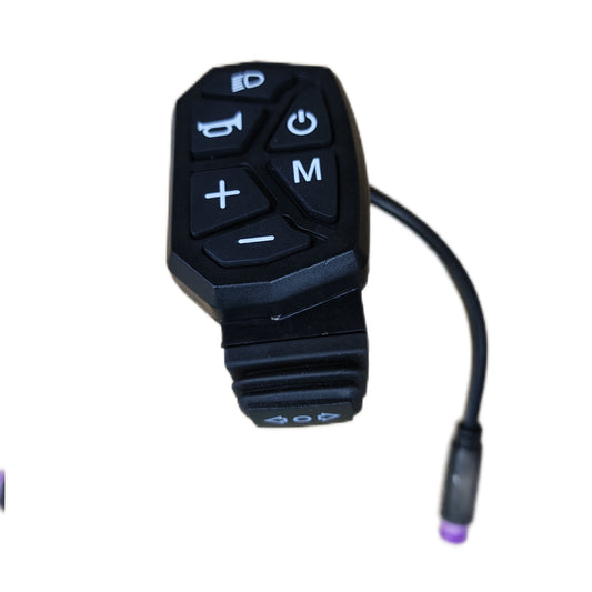 Switch Replacement for iENYRID ES60