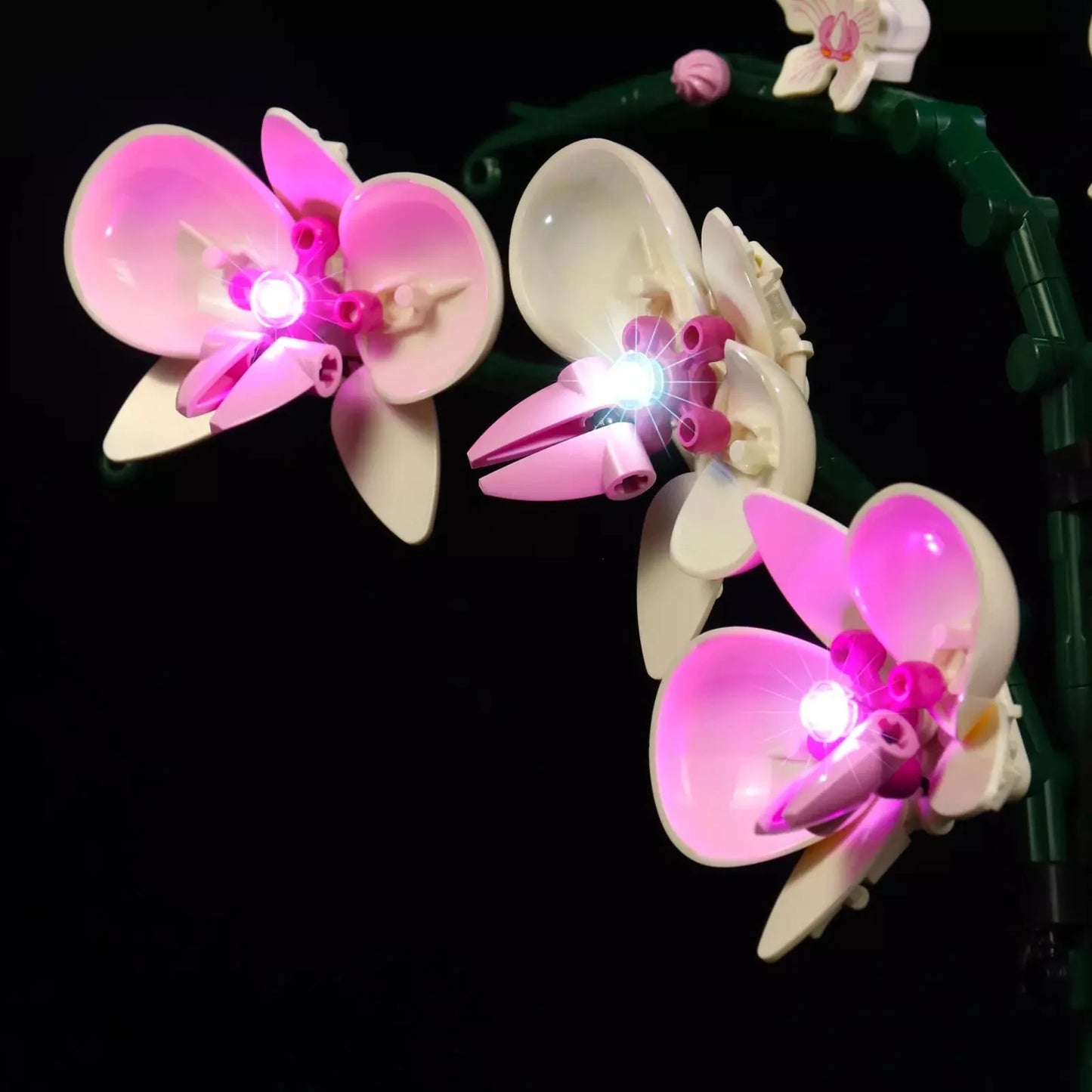 Light Kit for LEGO Orchid #10311