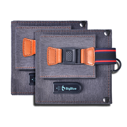 BigBlue SolarPowa 14 - BC Series