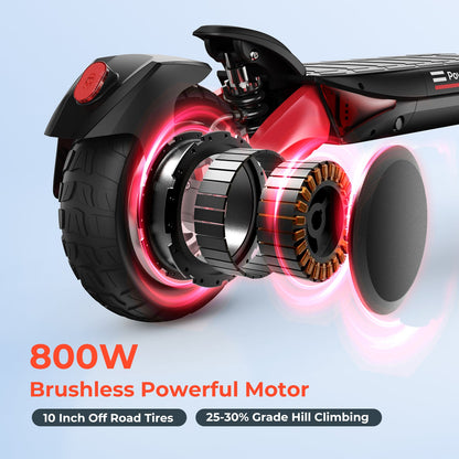R 800W Off Road Electric Scooter