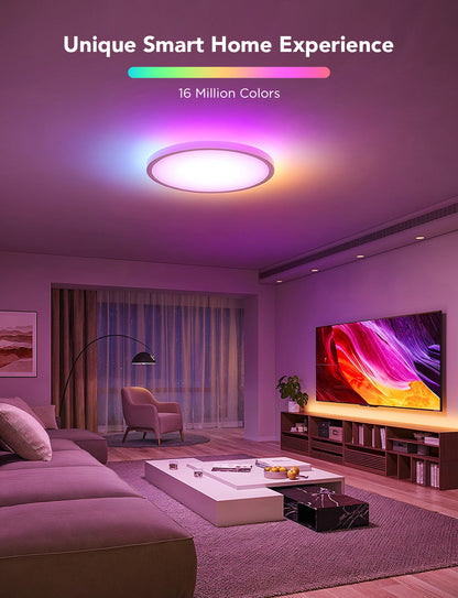Govee 12 Inch RGBWW + RGBIC Smart Ceiling Light