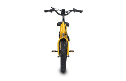 UrbanCarry Mega Longtail Cargo eBike