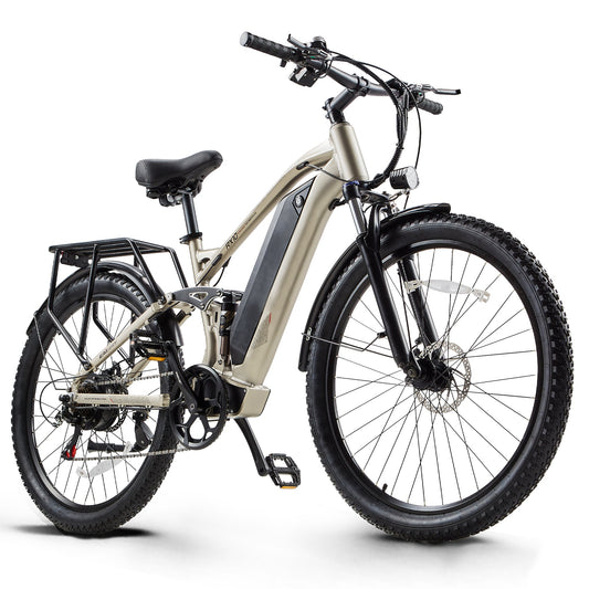 CEAYA Electric Bike RX10