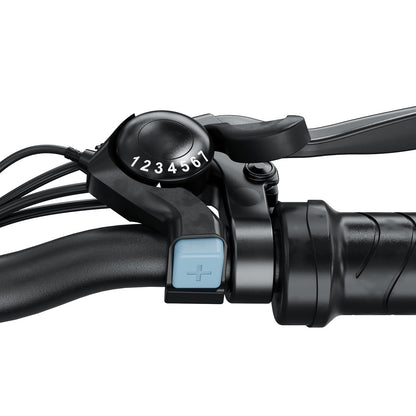 isinwheel M10 Electric Commuter Bike