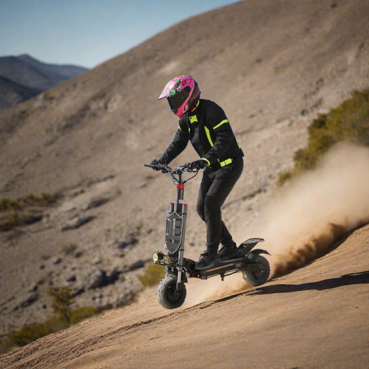 iENYRID ES20 Electric Scooter with 2400W Peak Motor, Dual Motor Scooter with 55km/h Speed, 48V 20Ah Battery, 60 Km Long Range, Max Load 150 Kg