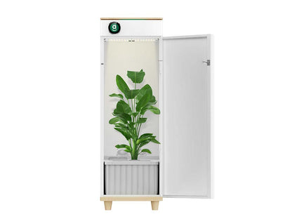 Hey abby Fully Automated Grow Box 420 Edition