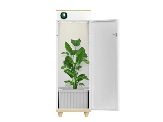 Hey abby Fully Automated Grow Box 420 Edition