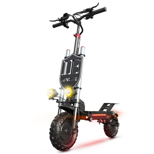 iENYRID ES20 Electric Scooter with 2400W Peak Motor, Dual Motor Scooter with 55km/h Speed, 48V 20Ah Battery, 60 Km Long Range, Max Load 150 Kg
