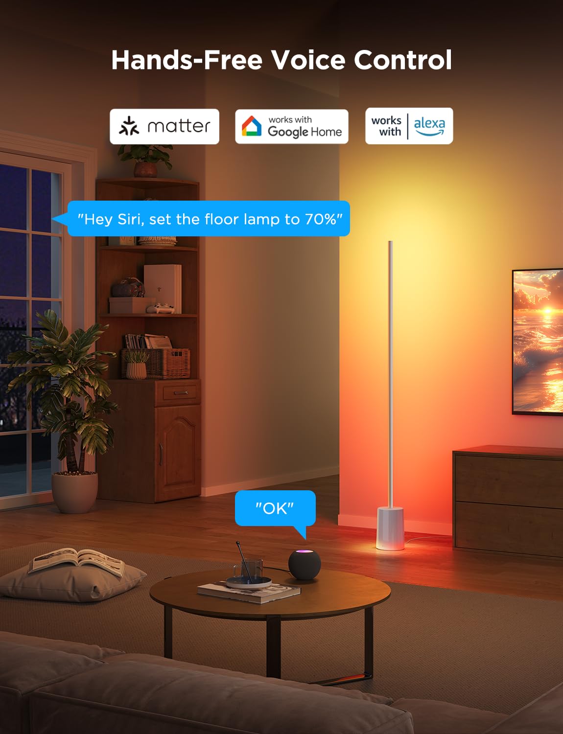 Govee Floor Lamp 2