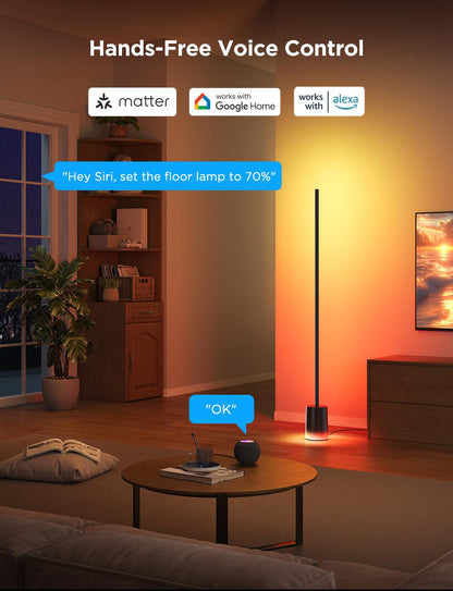 Govee Floor Lamp 2