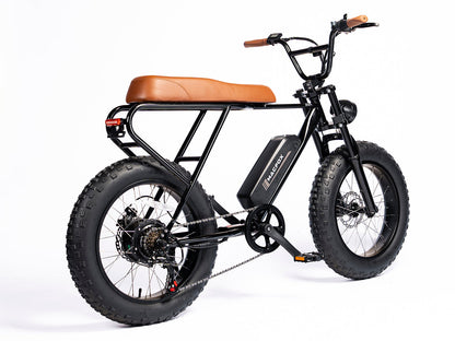 Fat Tire Electric Bike | Mini Swell eBike M20X