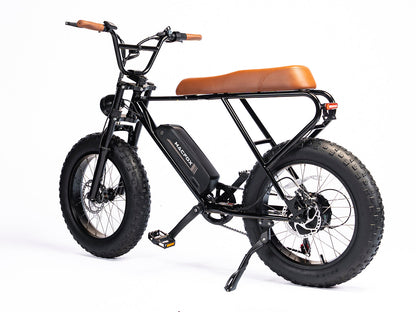 Fat Tire Electric Bike | Mini Swell eBike M20X