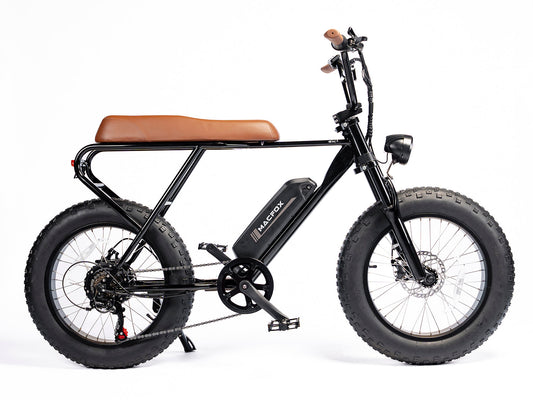 Fat Tire Electric Bike | Mini Swell eBike M20X