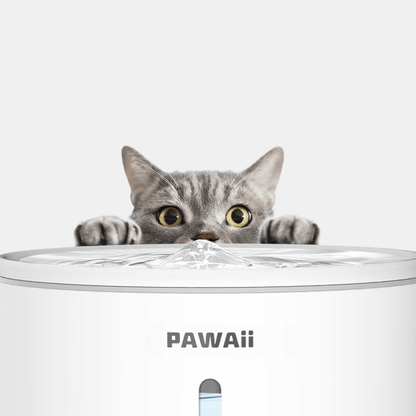 FunFlow UV Sterilization Pet Water Fountain