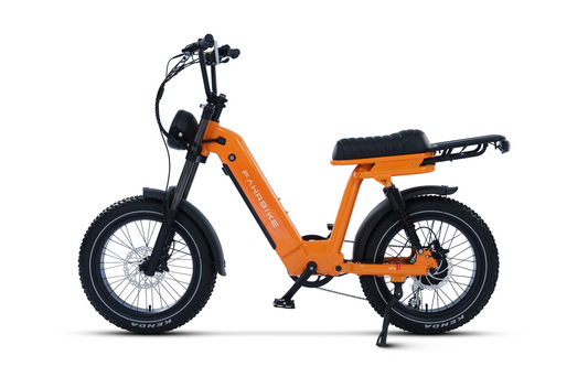 Roadster73 Moped-Style eBike